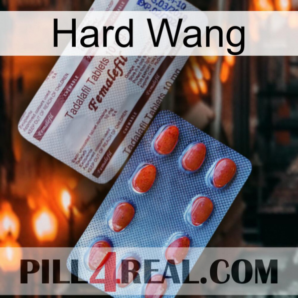 Hard Wang 36.jpg